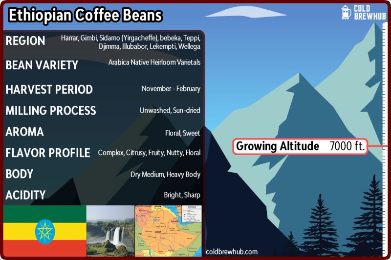 Ethiopian Coffee Growing Regions