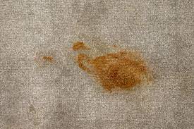 coffee stains on carpets