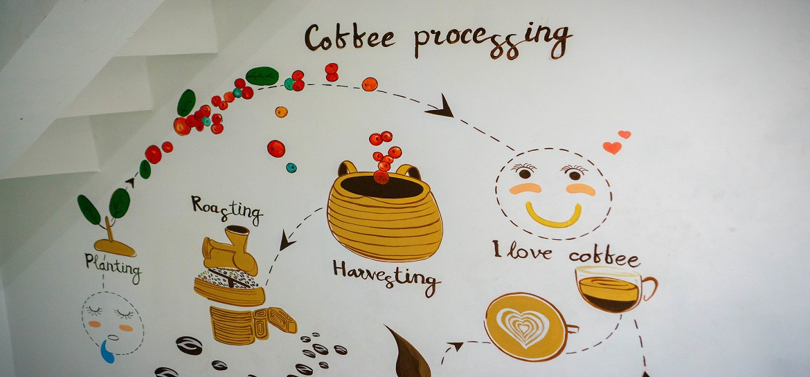 processing of coffee