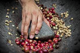processing of whole bean coffee
