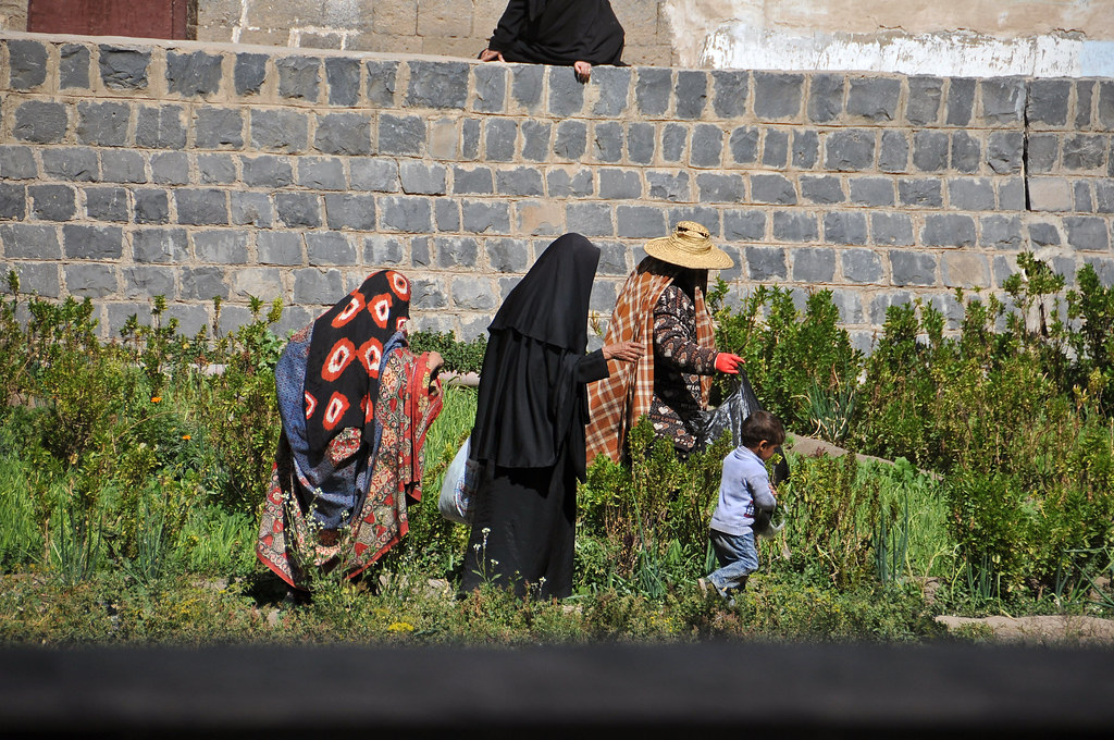 woes of yemeni farmers
